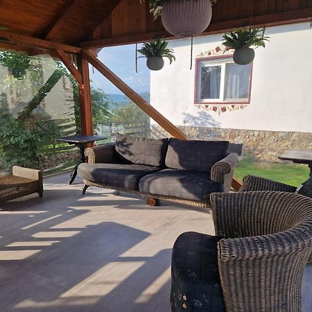 Pensiunea Turistica Retreat Belvedere 바두 크리슐루이 외부 사진