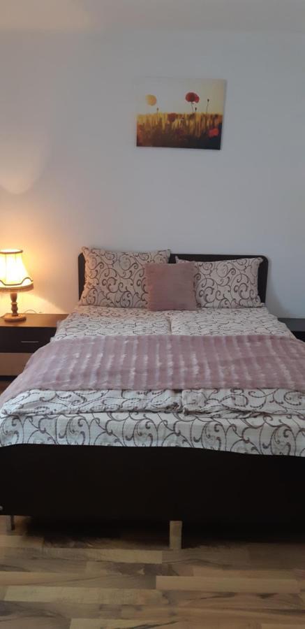 Pensiunea Turistica Retreat Belvedere 바두 크리슐루이 외부 사진