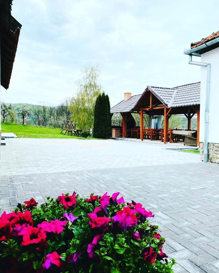Pensiunea Turistica Retreat Belvedere 바두 크리슐루이 외부 사진