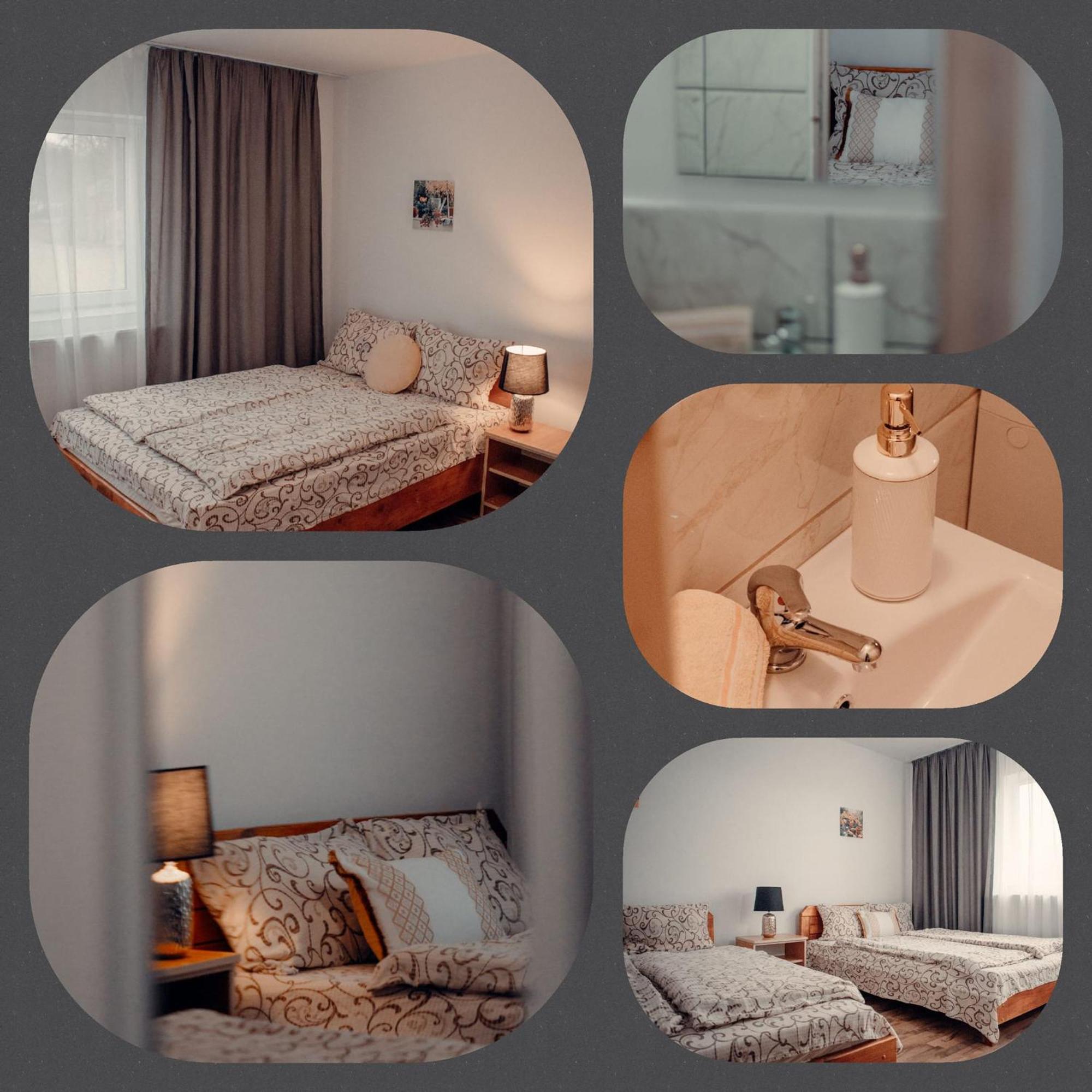 Pensiunea Turistica Retreat Belvedere 바두 크리슐루이 외부 사진