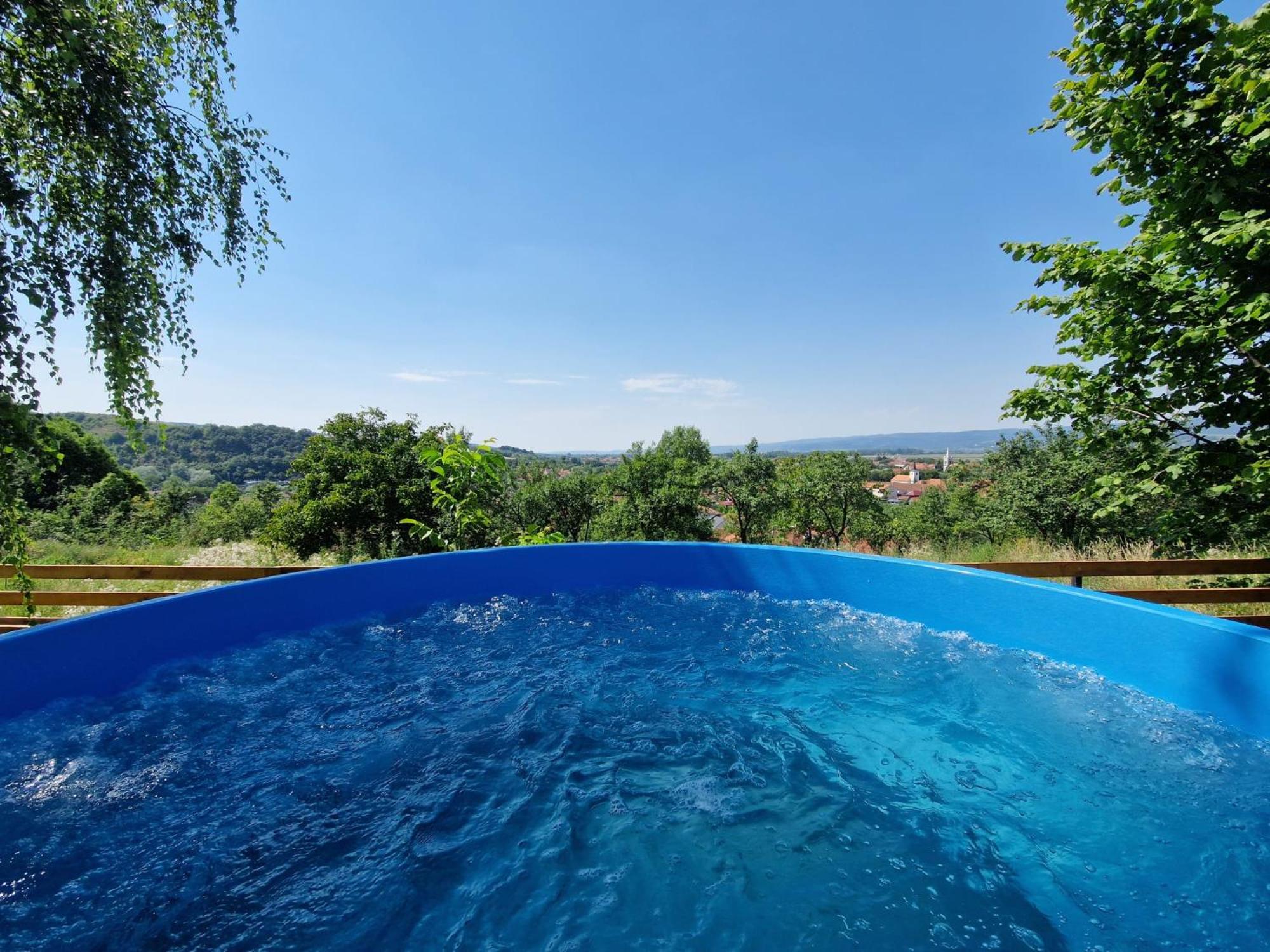 Pensiunea Turistica Retreat Belvedere 바두 크리슐루이 외부 사진